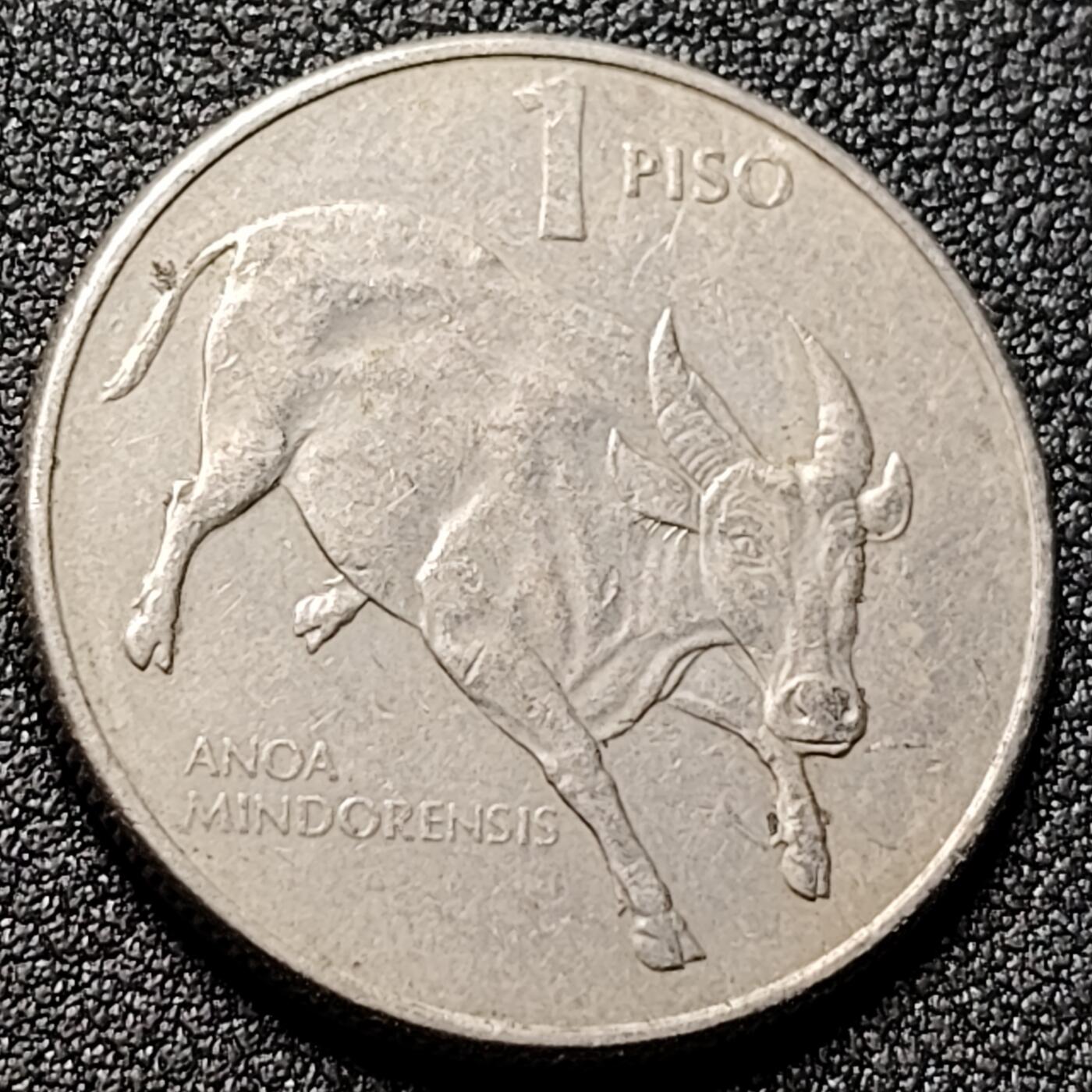 泉币菌-第144场-精品福利场 。