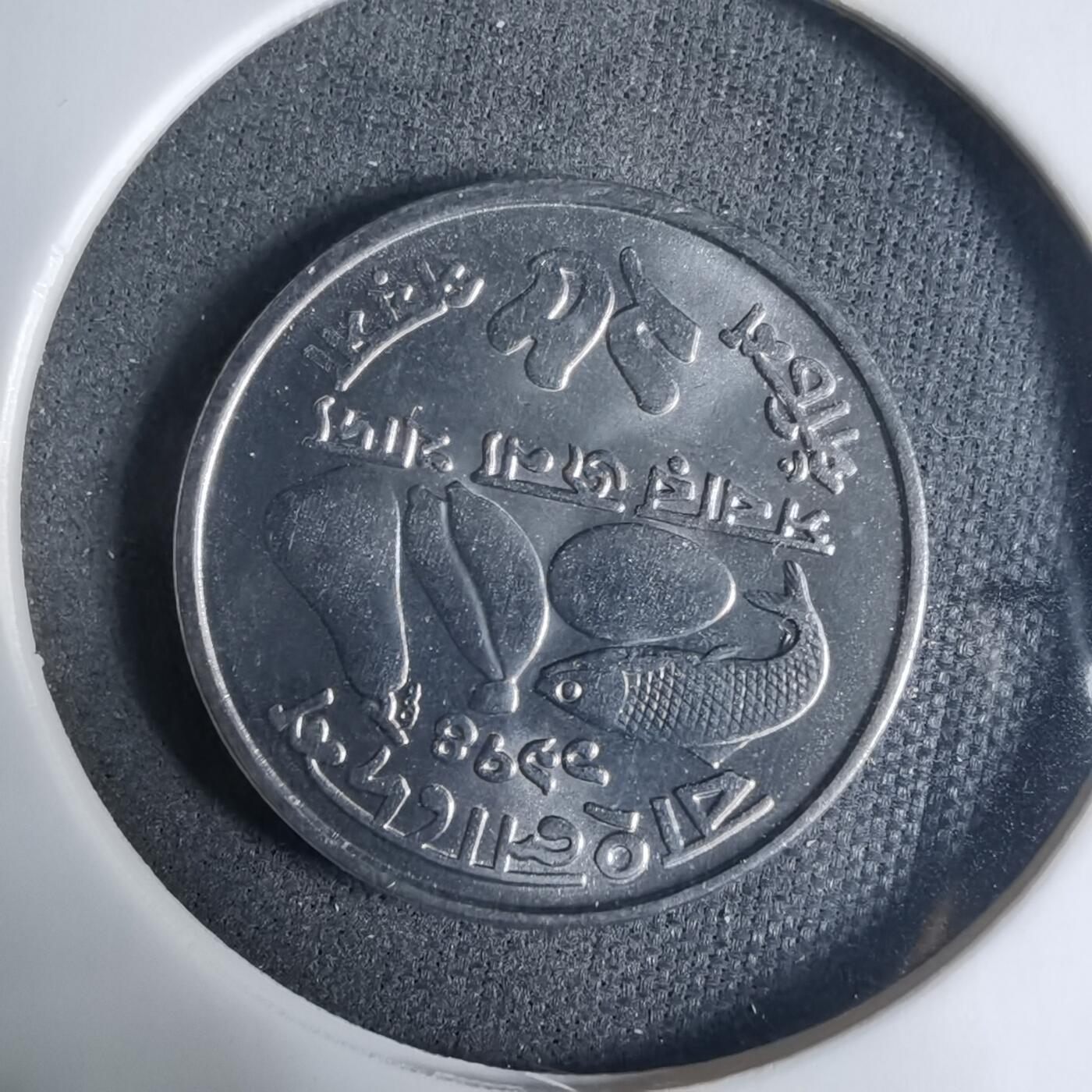 沼泽如烟--第927场 孟加拉