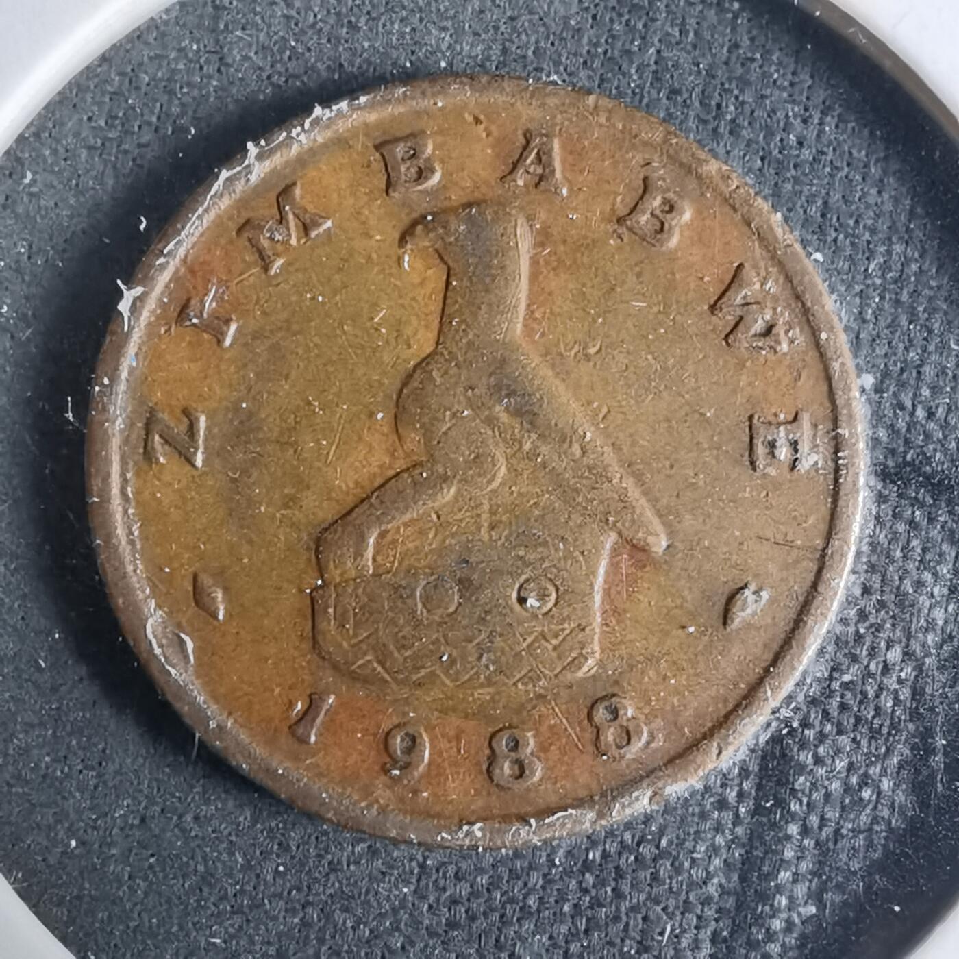 沼泽如烟--第927场