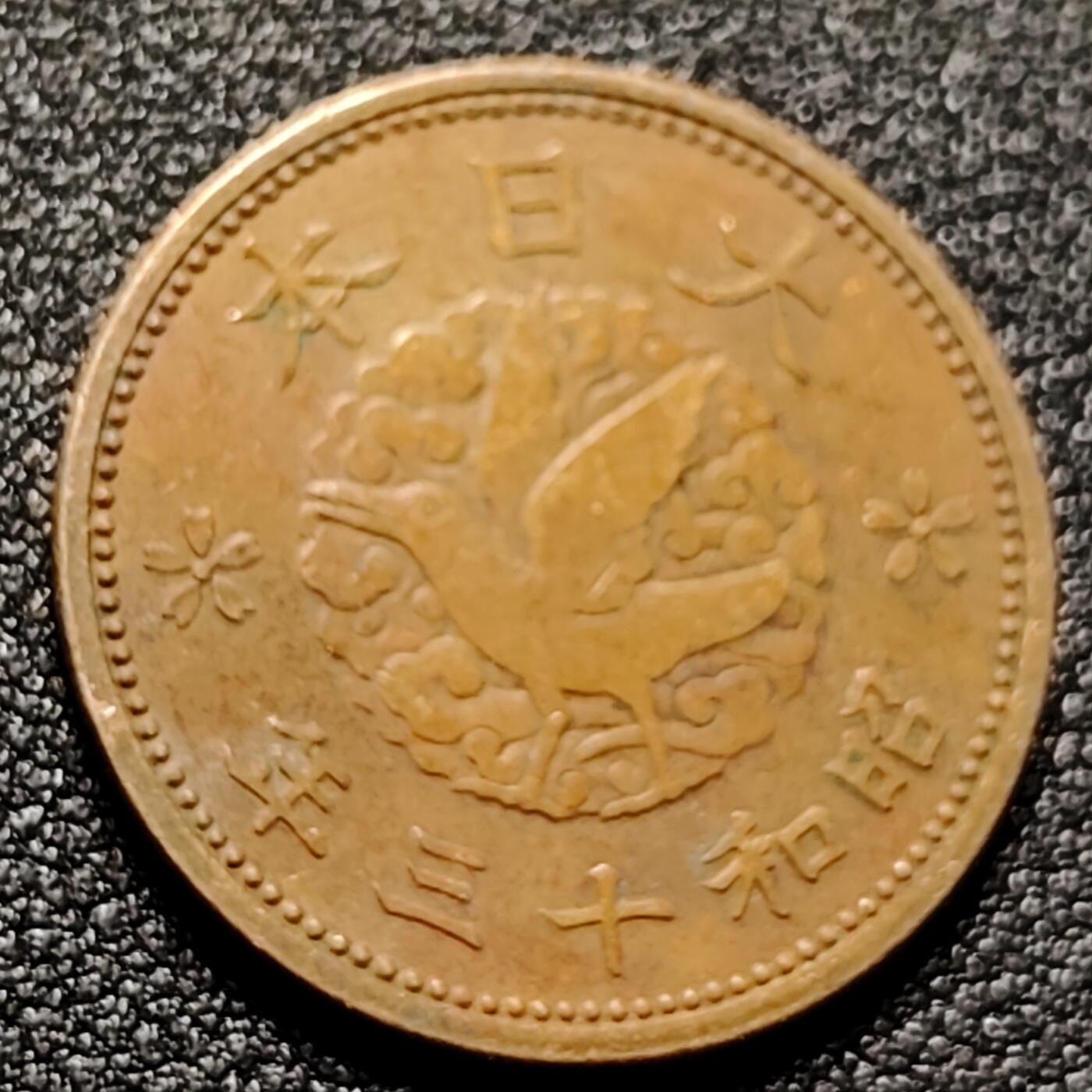 泉币菌-第143场-精品福利场 。