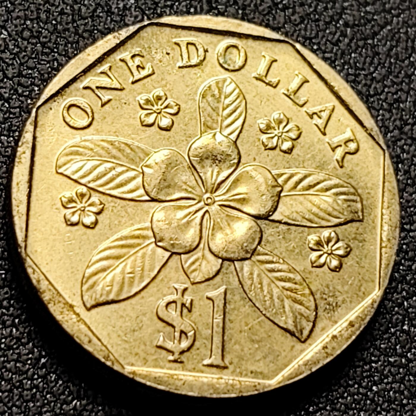 泉币菌-第143场-精品福利场 好品 低盾卓锦万代兰 胡姬花兰花 1989年 新加坡1圆黄铜硬币22mm