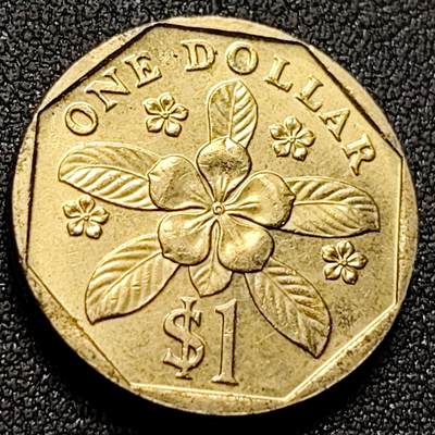 泉币菌-第143场-精品福利场 - 好品 低盾卓锦万代兰 胡姬花兰花 1989年 新加坡1圆黄铜硬币22mm