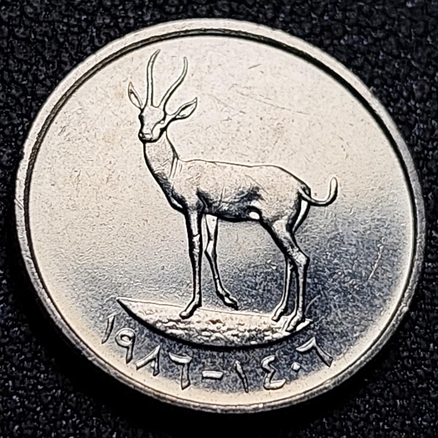 泉币菌-第144场-精品福利场 。