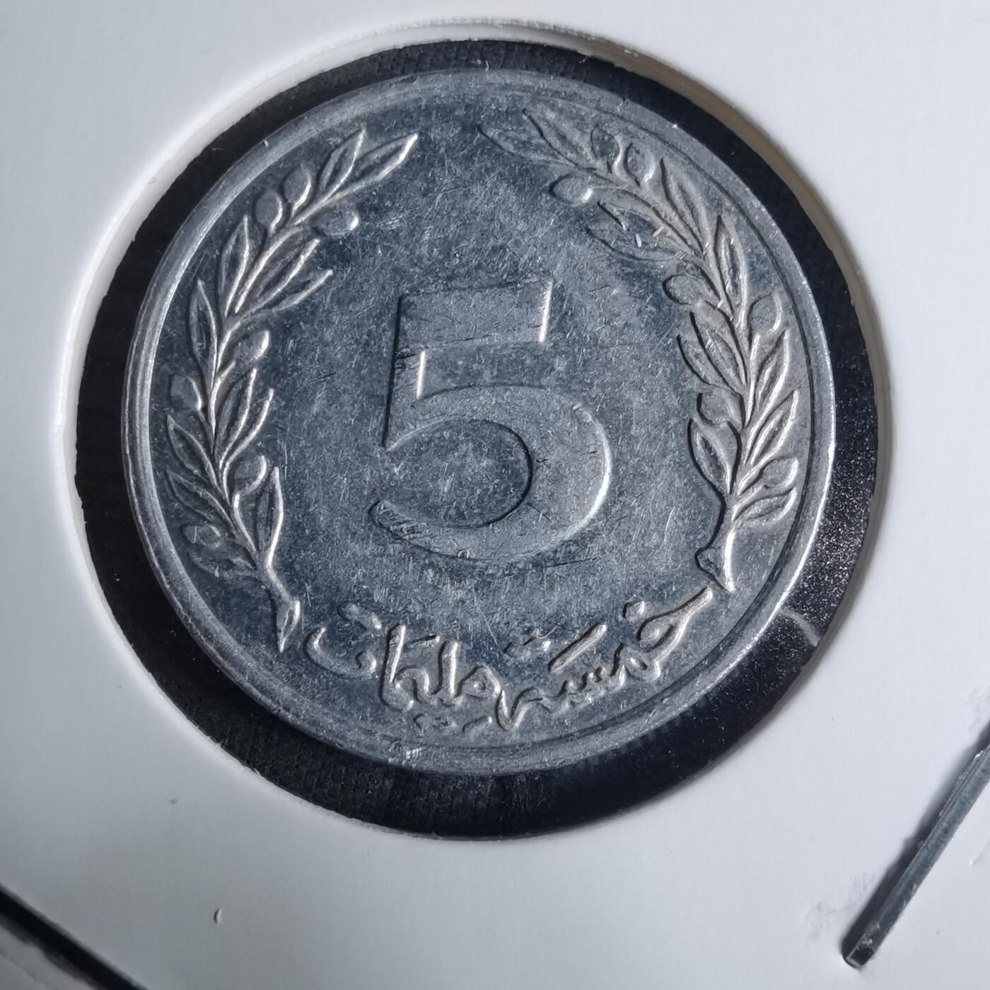 沼泽如烟--第926场