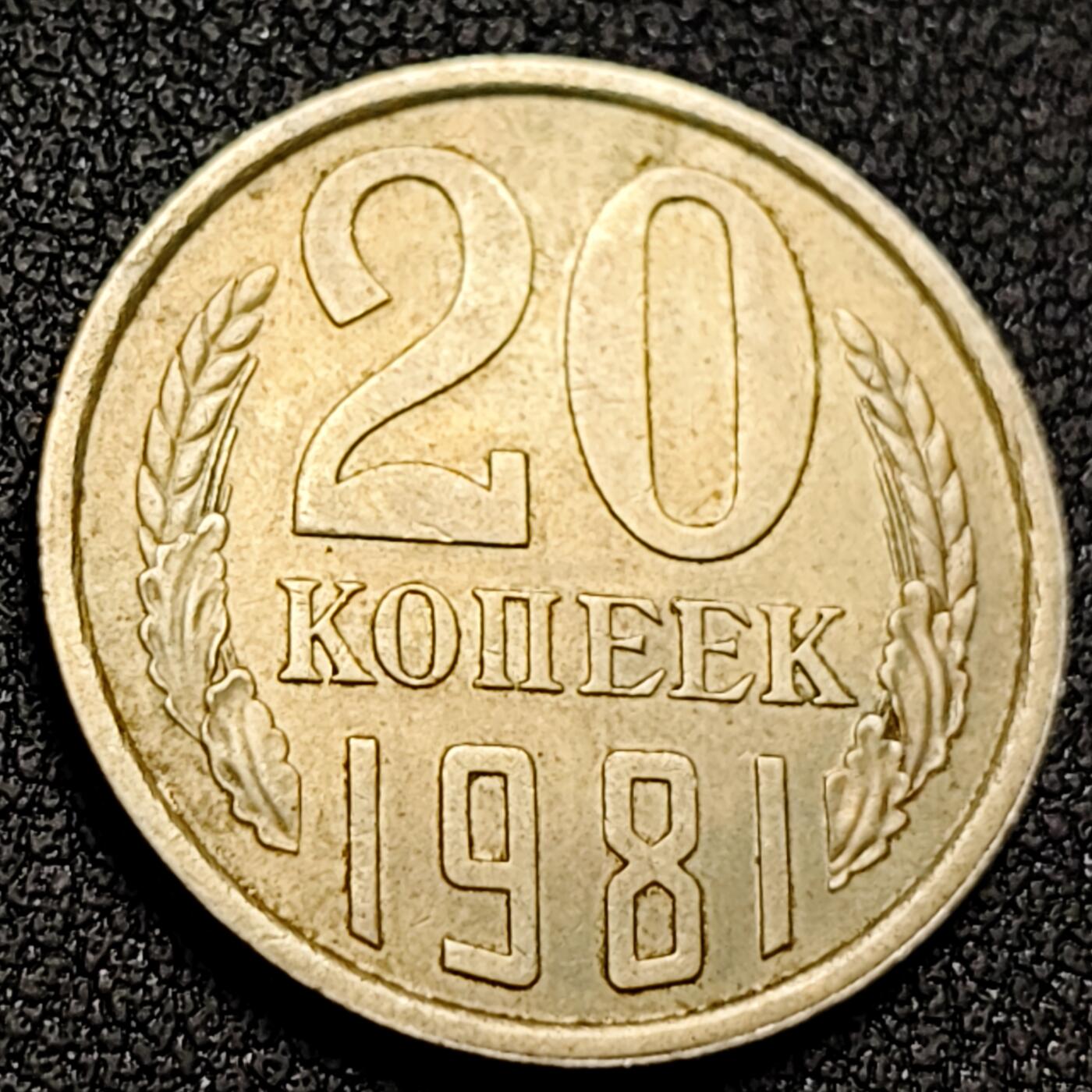 泉币菌-第144场-精品福利场 。