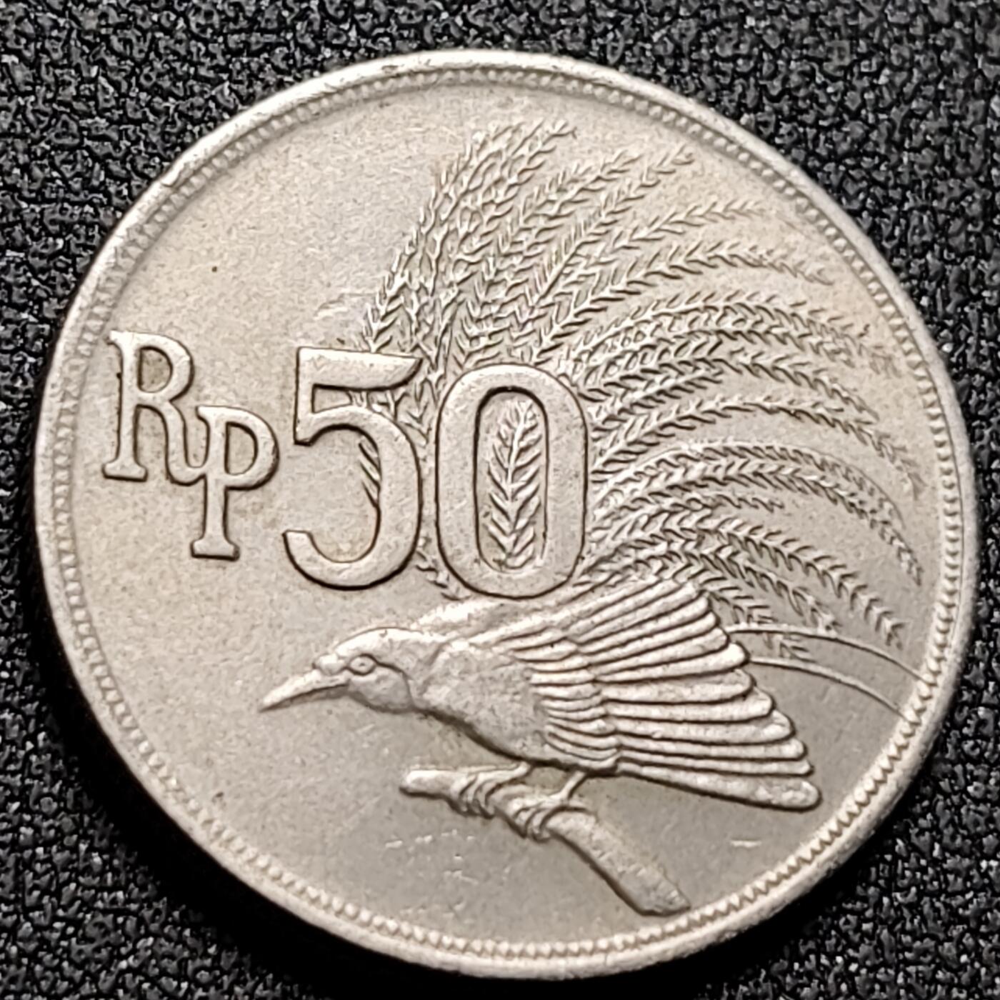 泉币菌-第144场-精品福利场 。