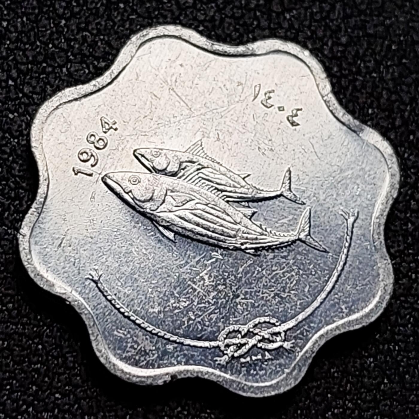 泉币菌-第144场-精品福利场 。