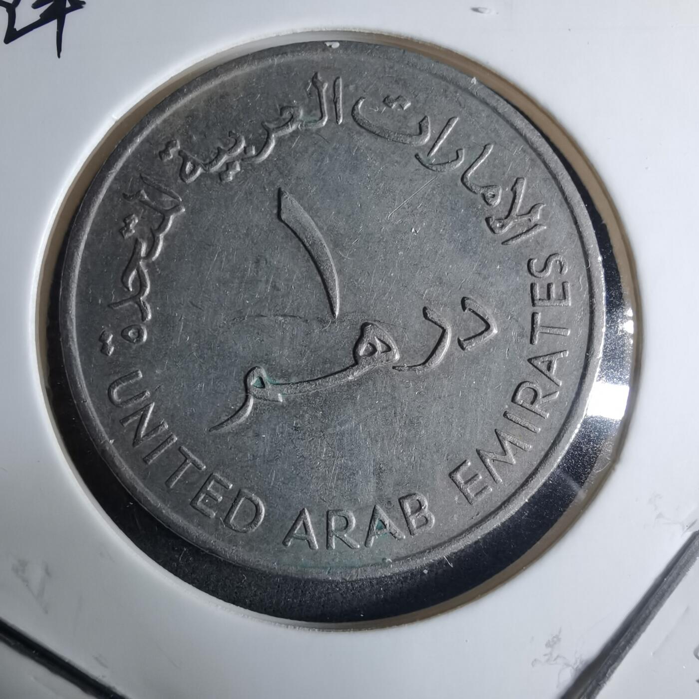 沼泽如烟--第926场