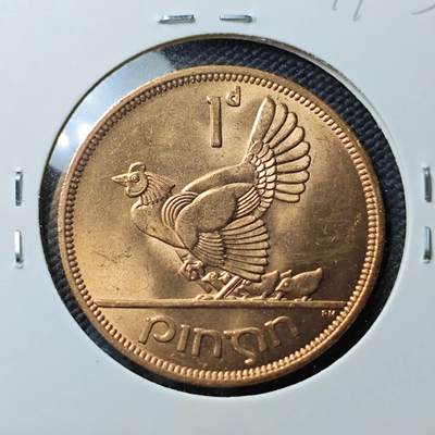 KK钱币收藏小铺 第377期  2月预留时间 周末发货 - 爱尔兰1便士母鸡铜币 好品 