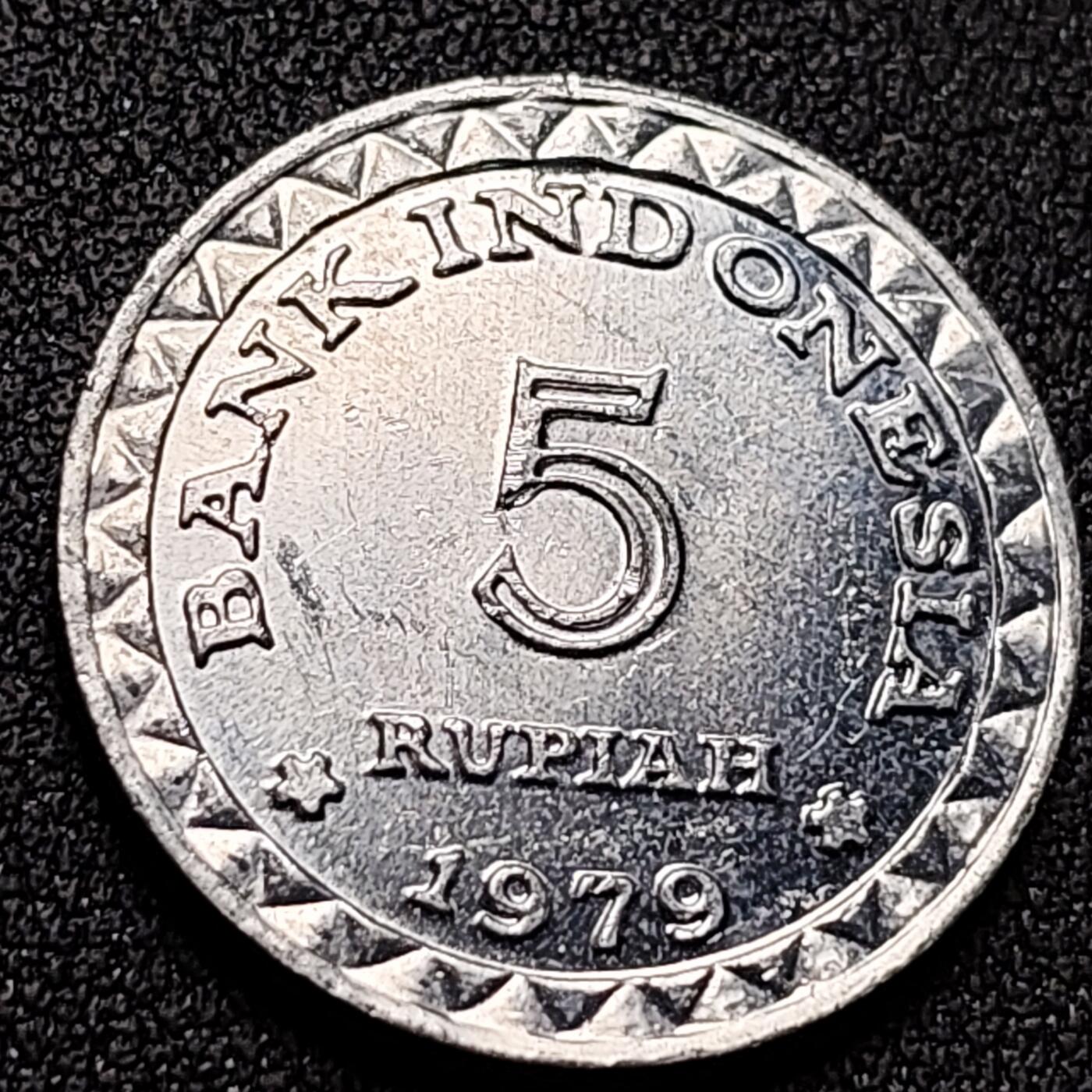 泉币菌-第143场-精品福利场