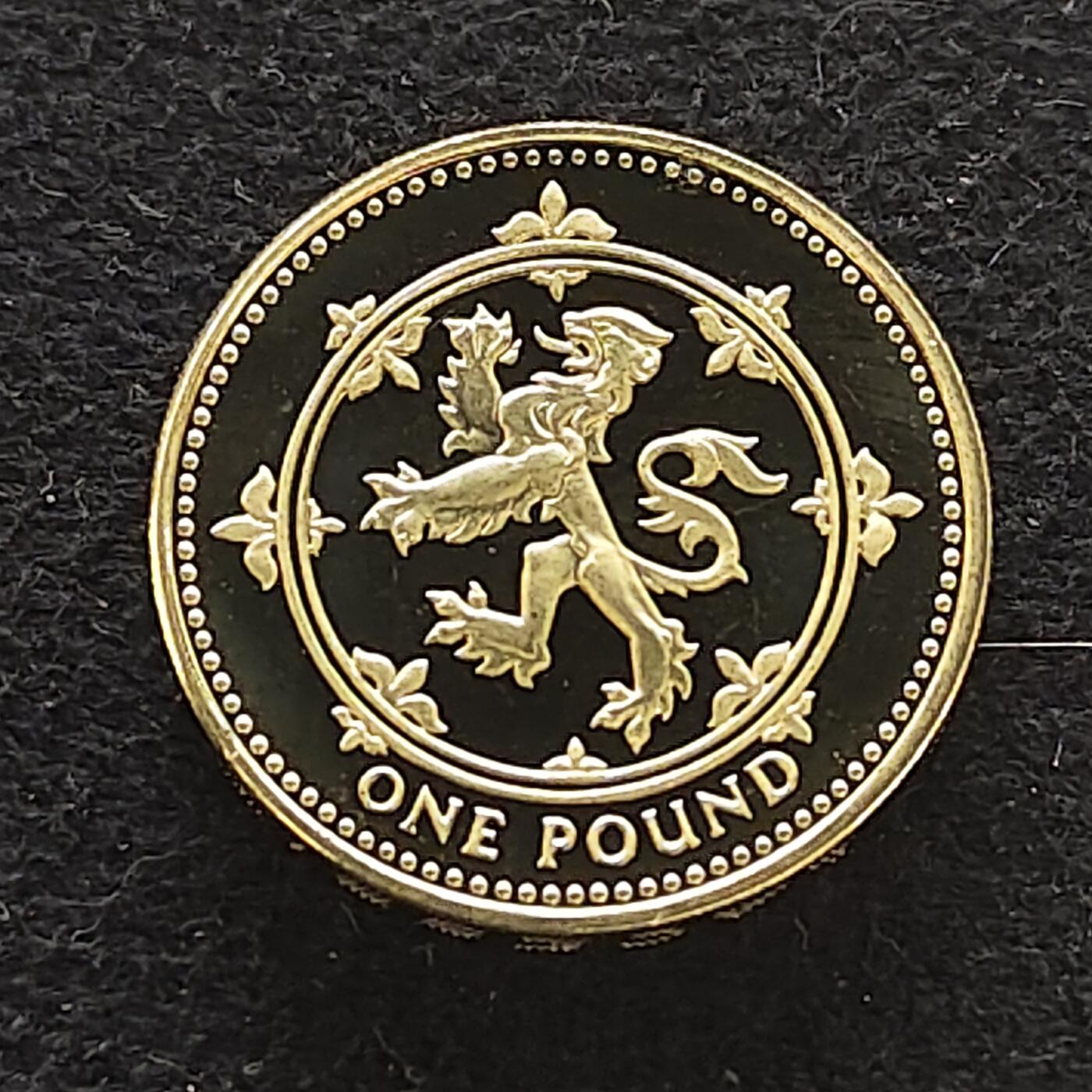 【全场包邮】纯粹捡漏拍484场（免费代拍第21场） 英国1999年1镑精制币