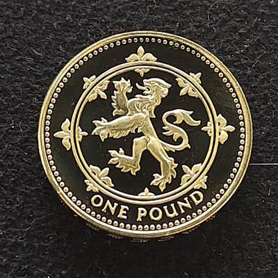 【全场包邮】纯粹捡漏拍484场（免费代拍第21场） - 英国1999年1镑精制币