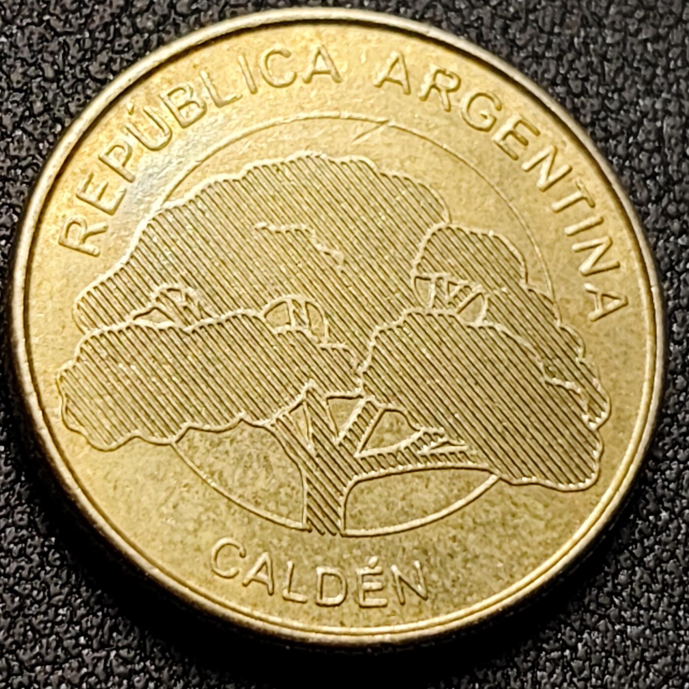 泉币菌-第143场-精品福利场 植物版 阿根廷10比索铜镍锌硬币 26.0毫米10.3克