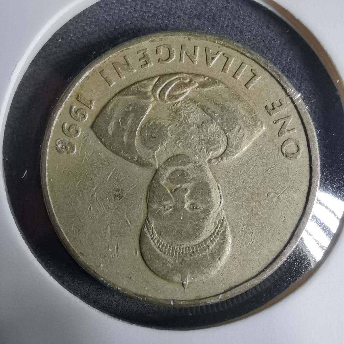 沼泽如烟--第927场 斯威士兰1996年