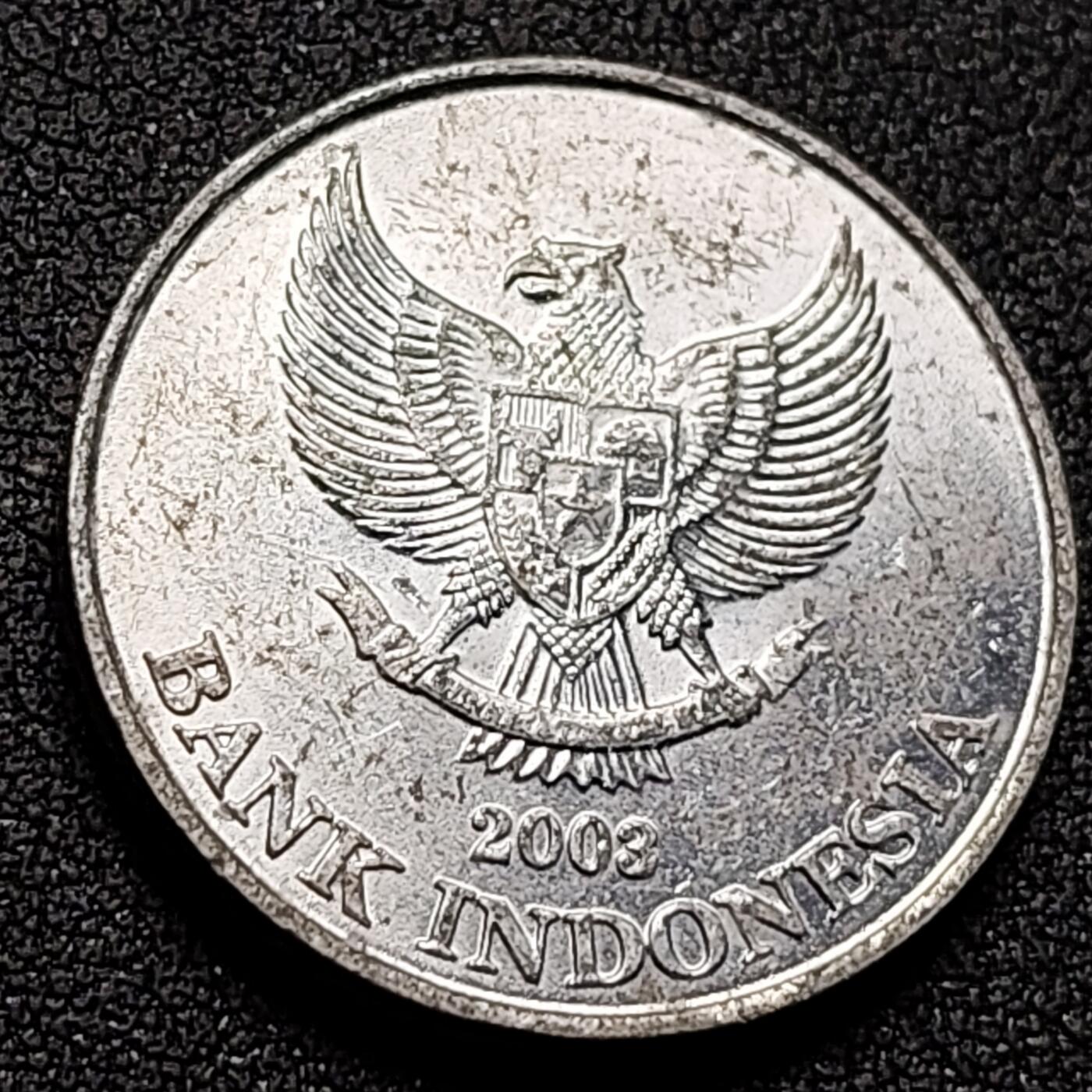 泉币菌-第143场-精品福利场 。