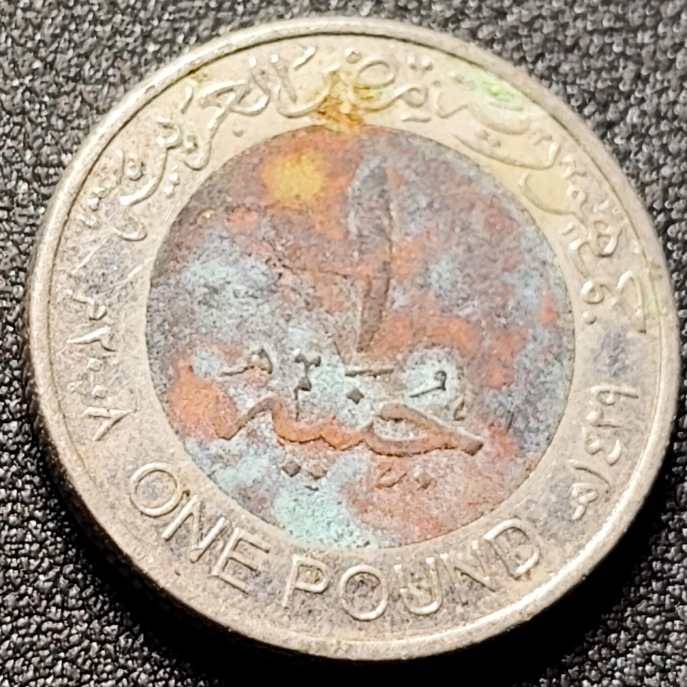 泉币菌-第144场-精品福利场 。