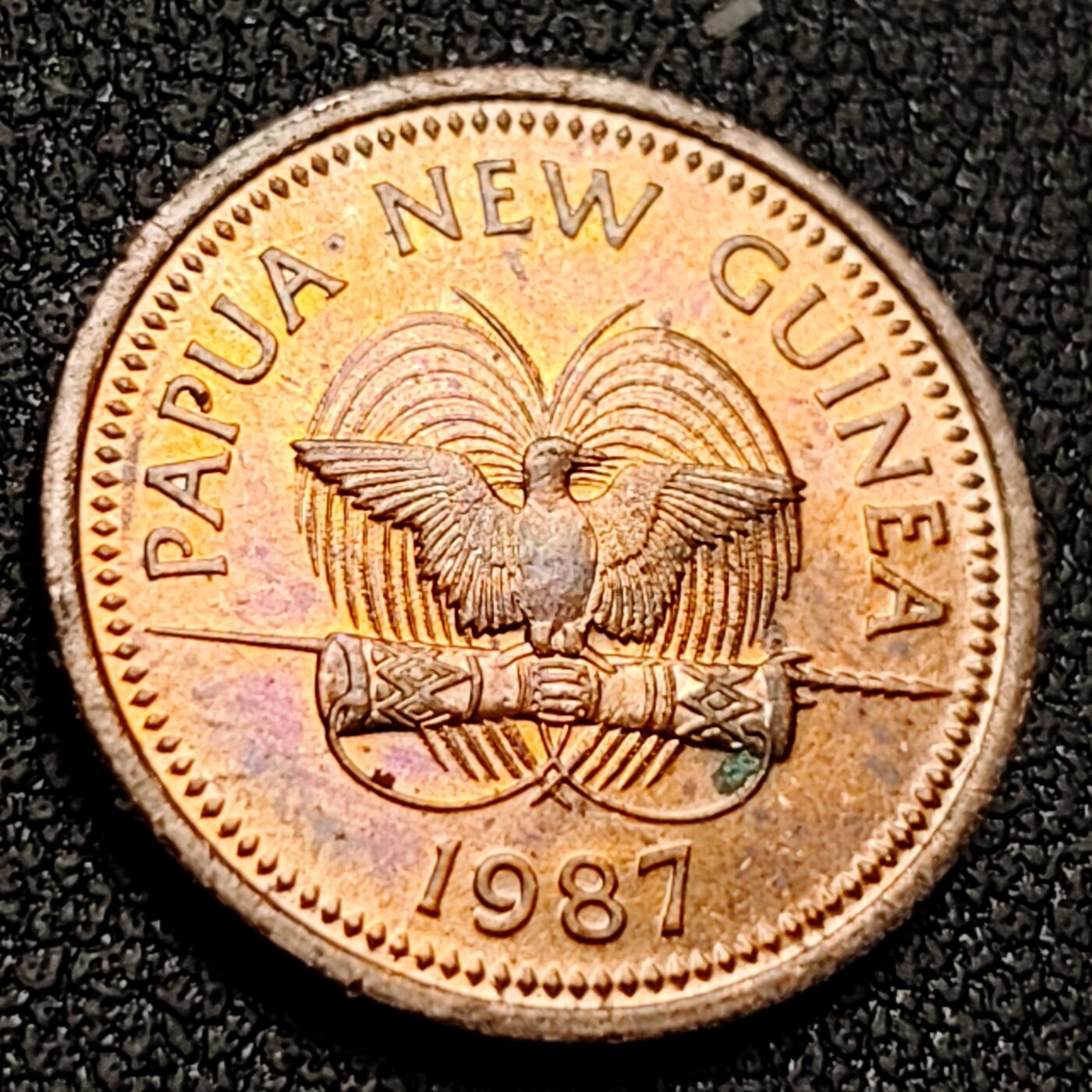 泉币菌-第143场-精品福利场 。