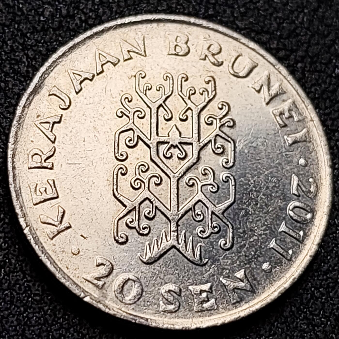 泉币菌-第145场-精品福利场 。