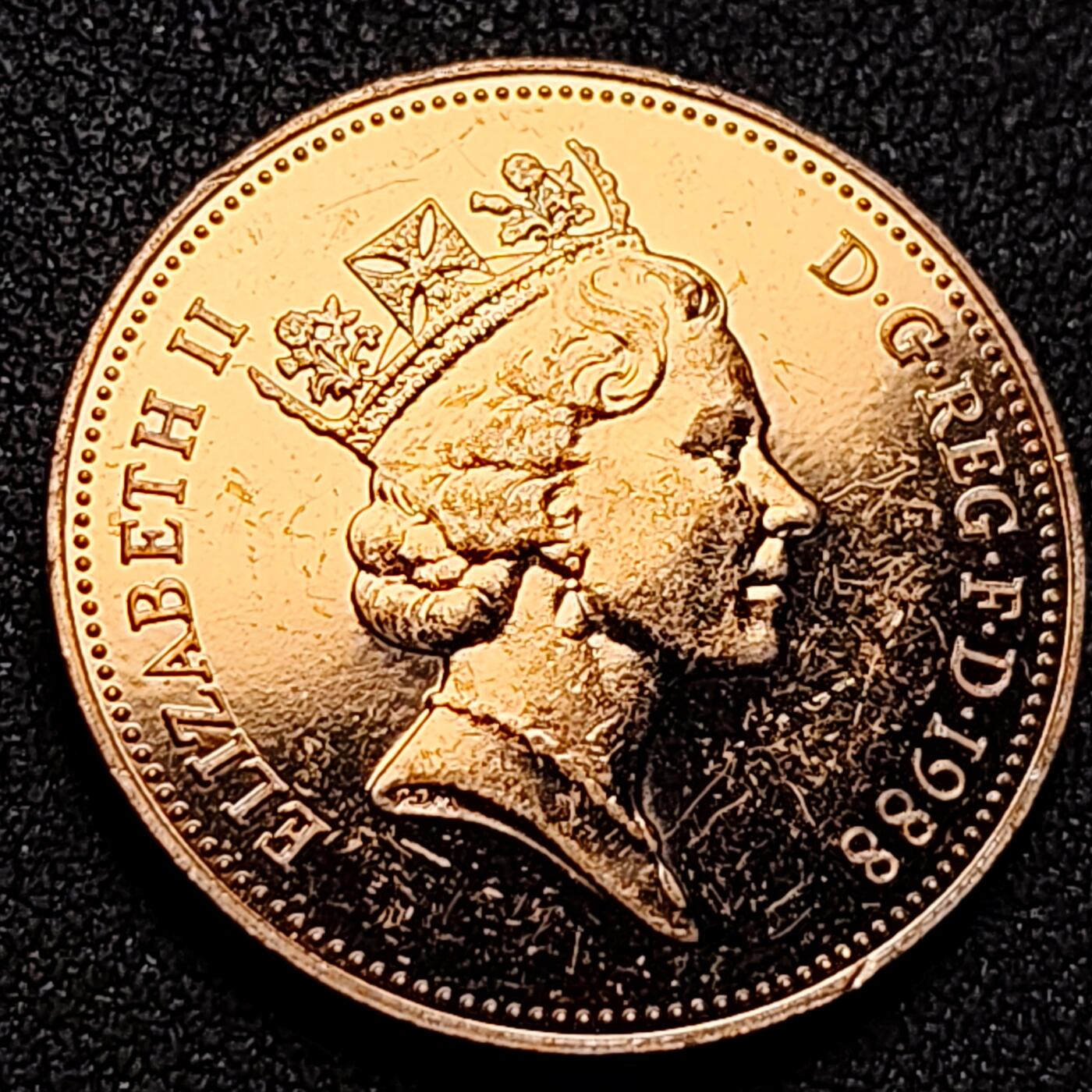 泉币菌-第144场-精品福利场 。