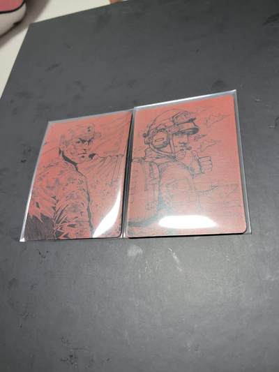 卡牌限时026期专场（20日晚22点截拍） - 小花瓣-铭记历史俩张