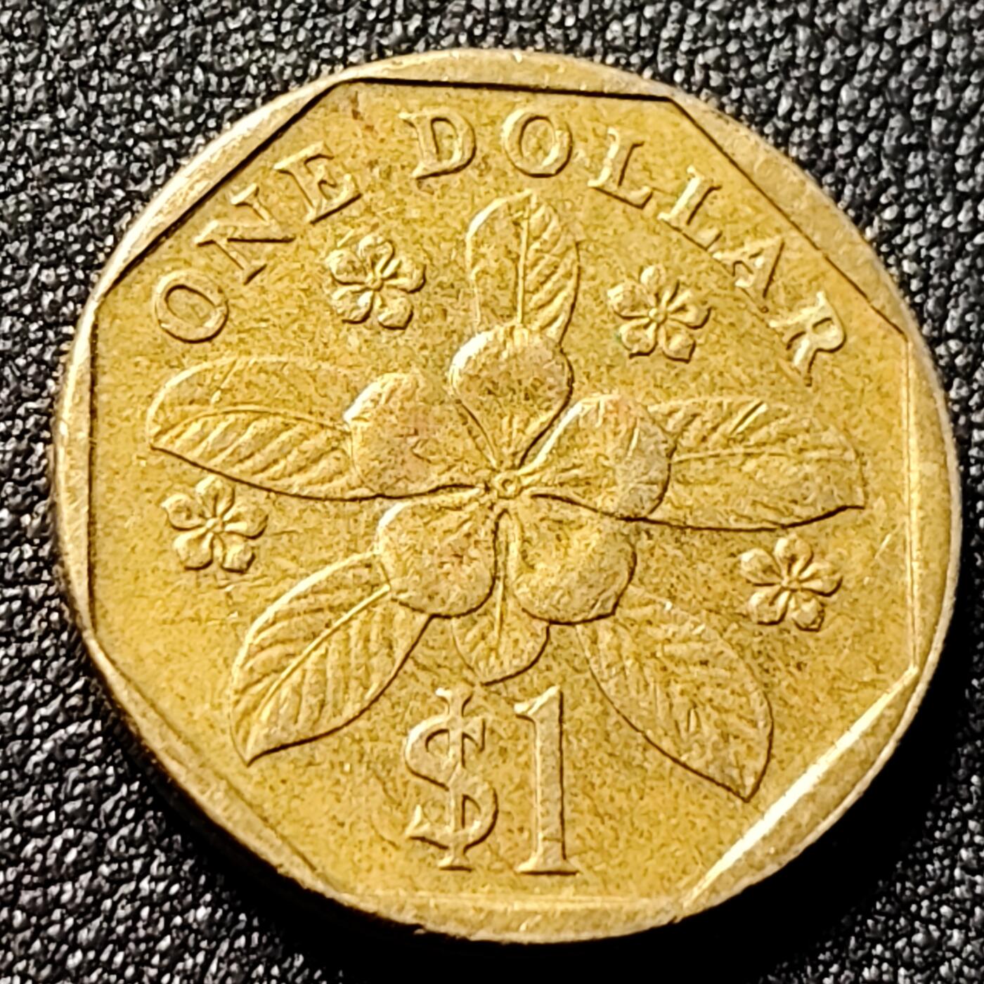 泉币菌-第144场-精品福利场 。