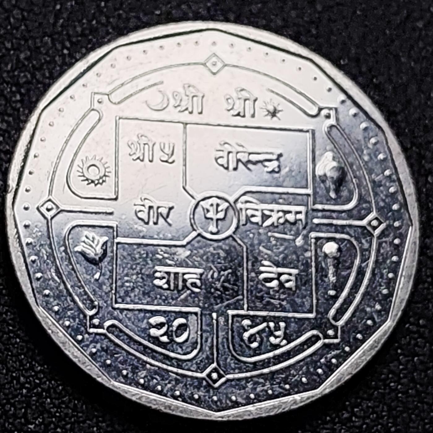 泉币菌-第144场-精品福利场 。