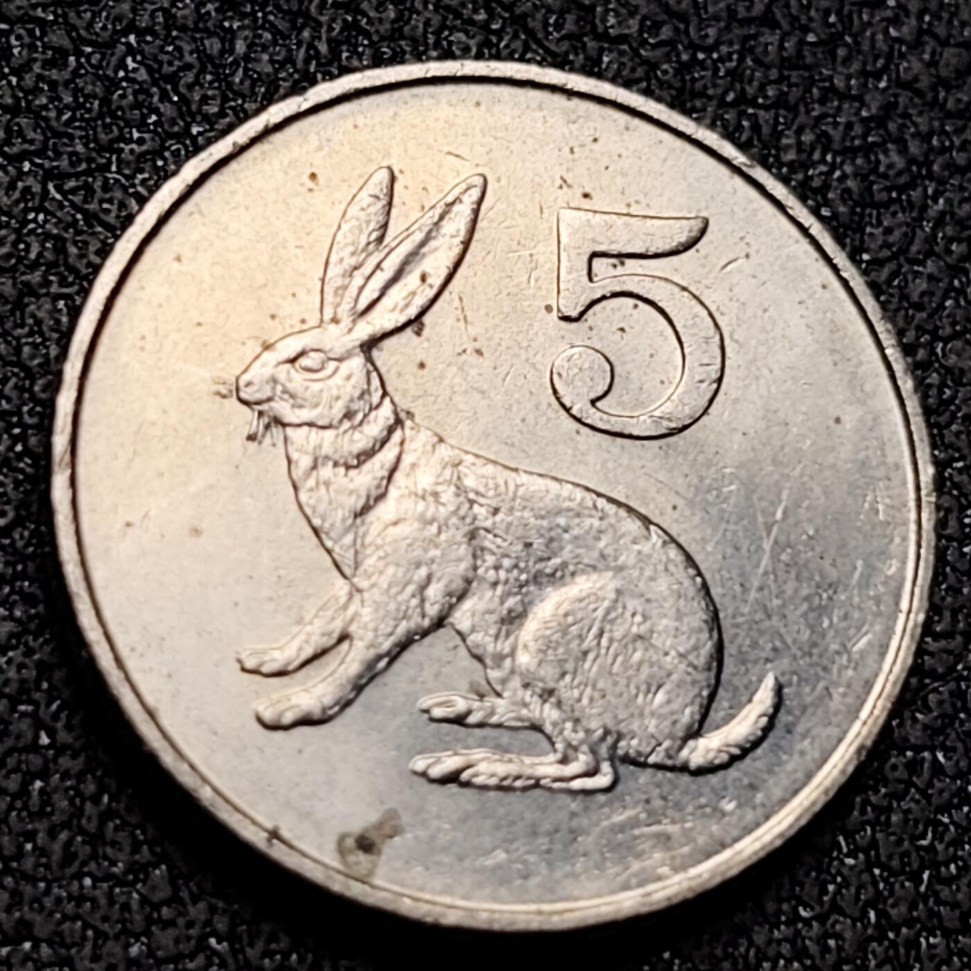 泉币菌-第145场-精品福利场 。