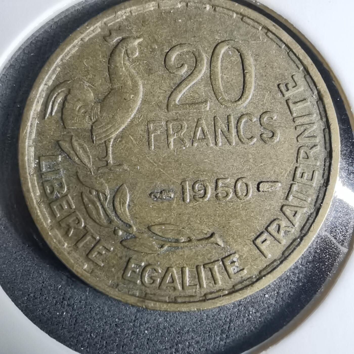 沼泽如烟--第927场