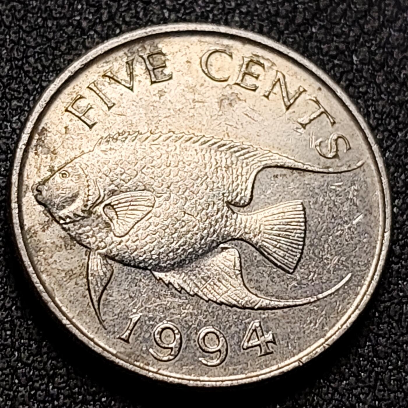 泉币菌-第144场-精品福利场 。