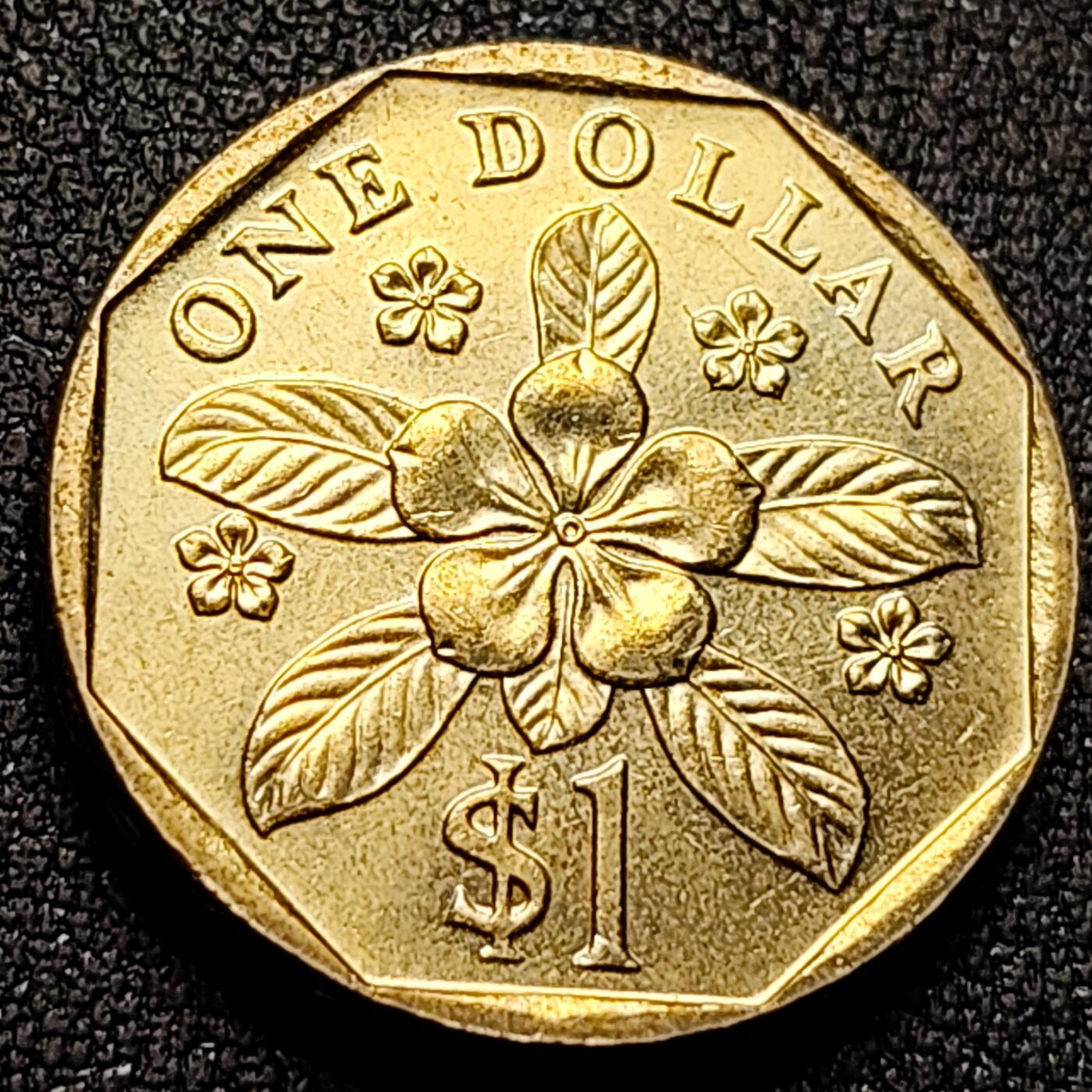 泉币菌-第144场-精品福利场 。