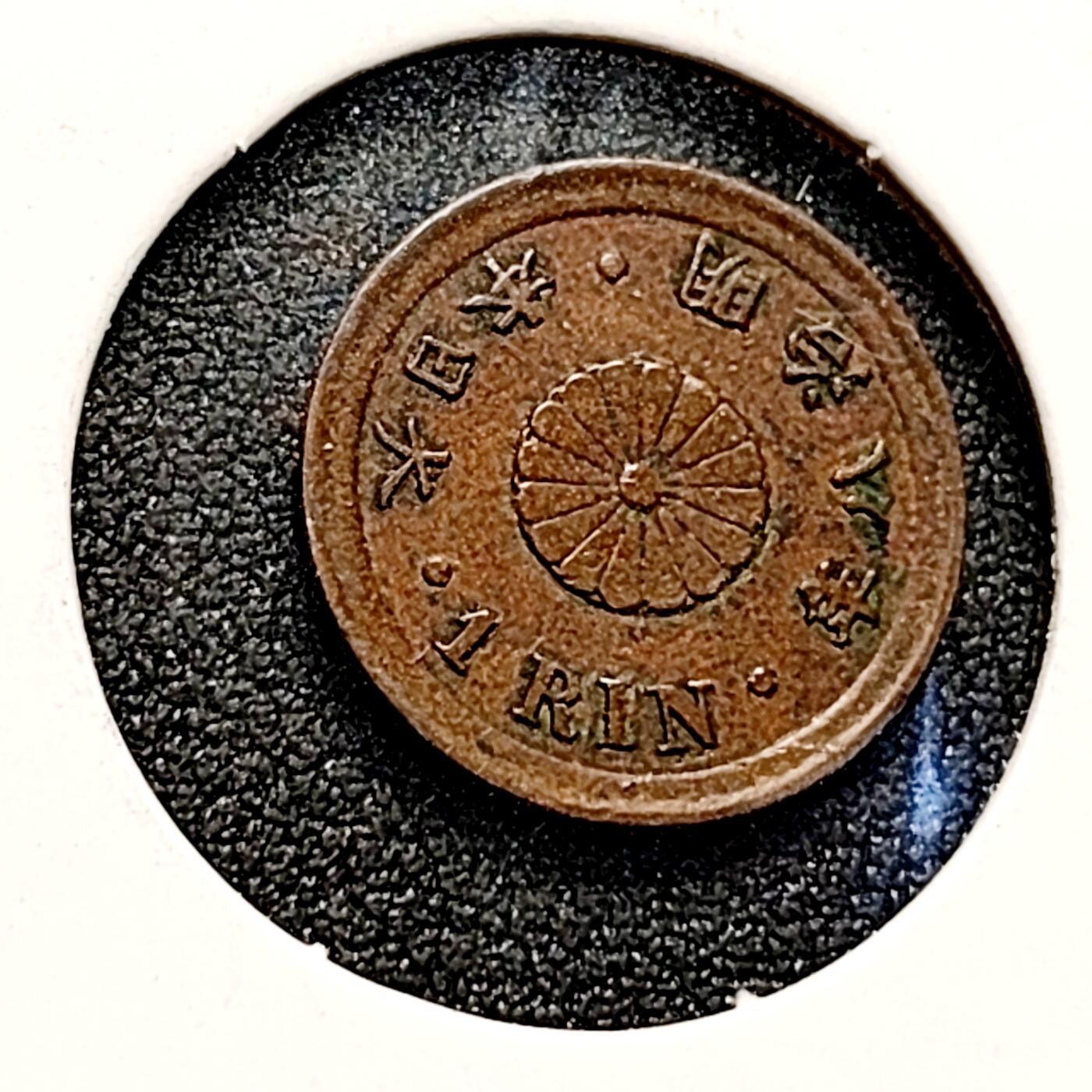 泉币菌-第143场-精品福利场 。