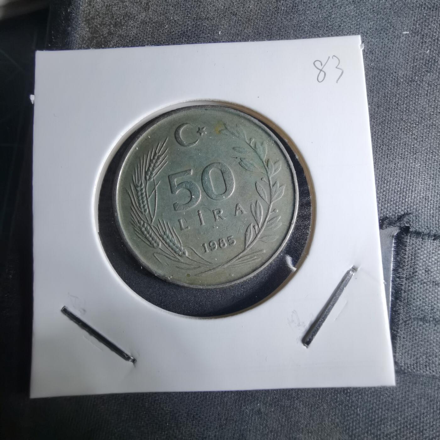 沼泽如烟--第926场