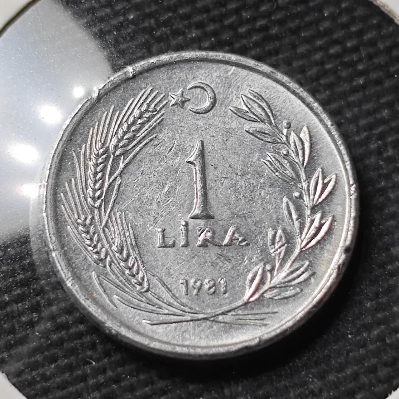 KK钱币收藏小铺 第377期  2月预留时间 周末发货  1981土耳其1里拉