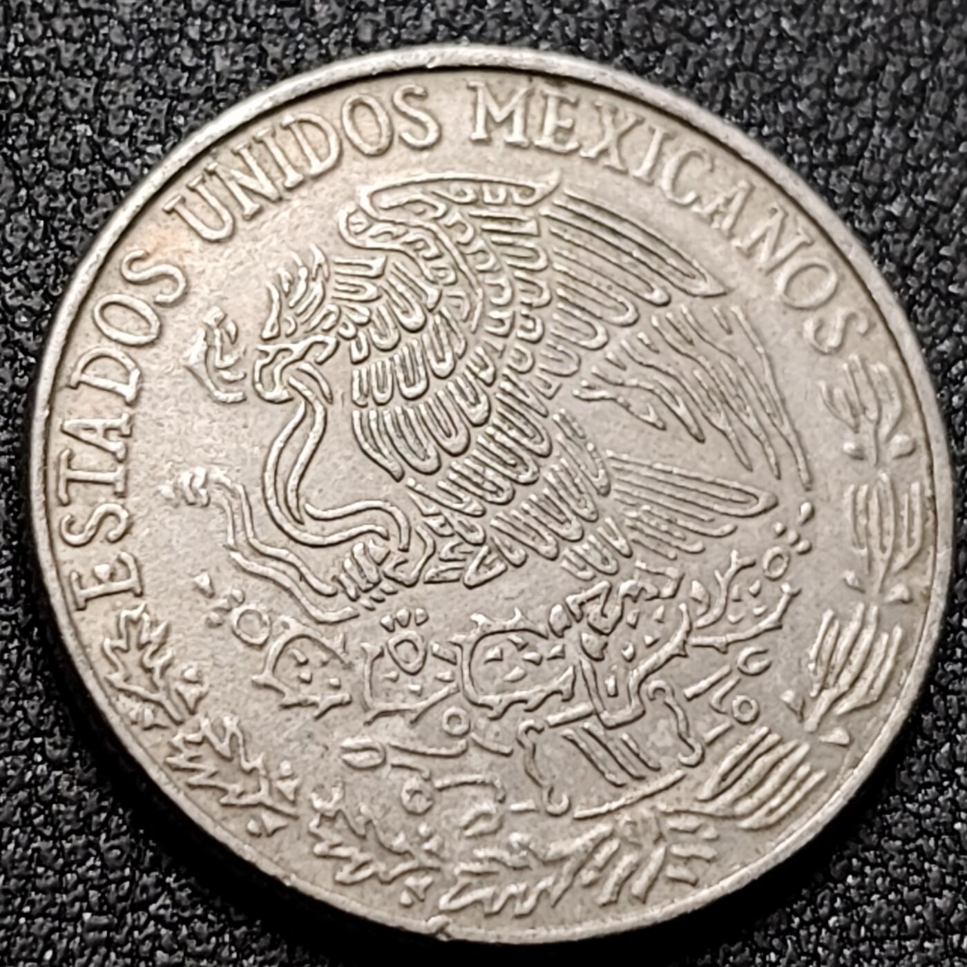 泉币菌-第144场-精品福利场 。