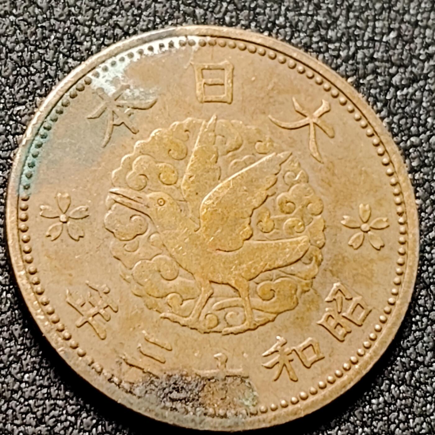 泉币菌-第144场-精品福利场 。