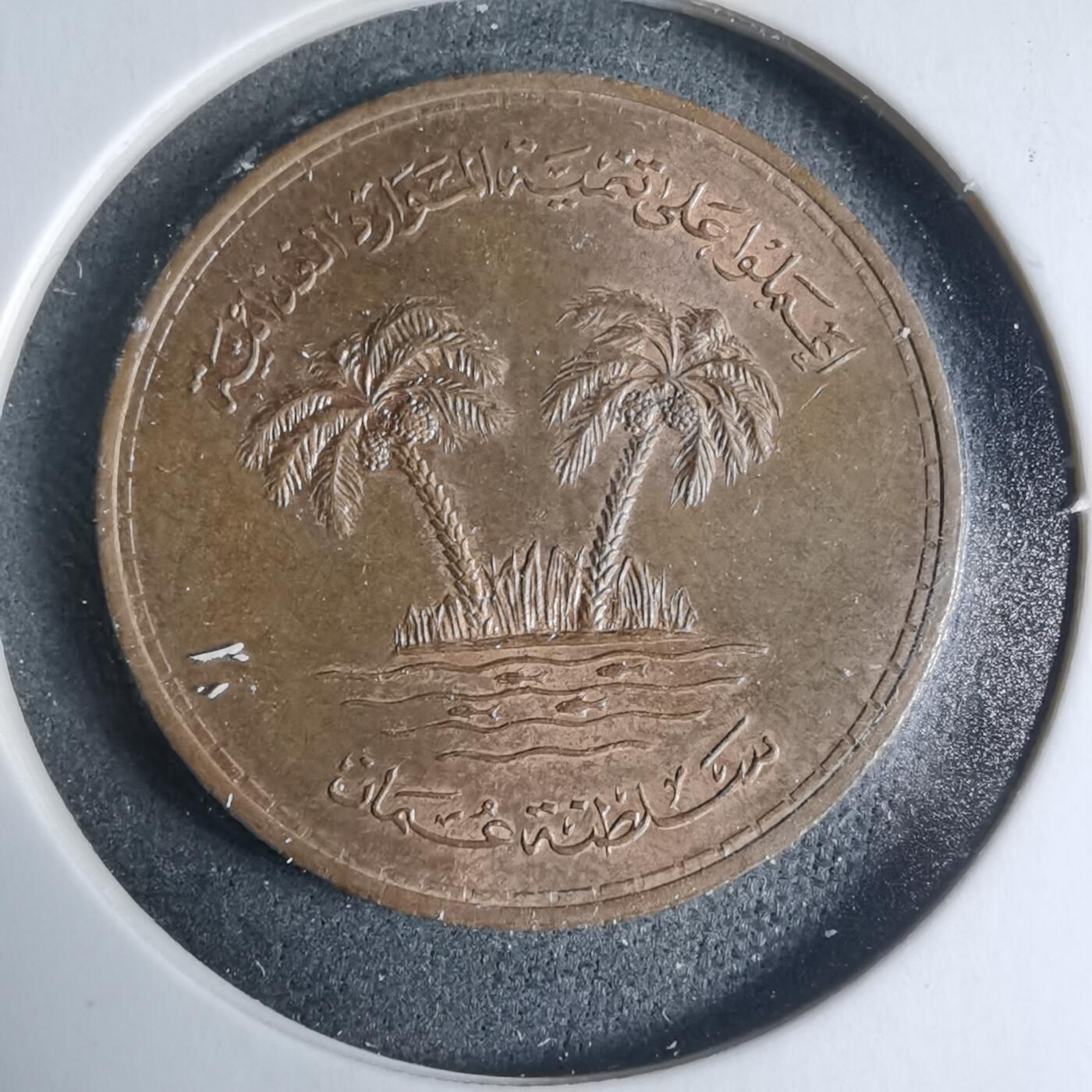 沼泽如烟--第927场 阿曼