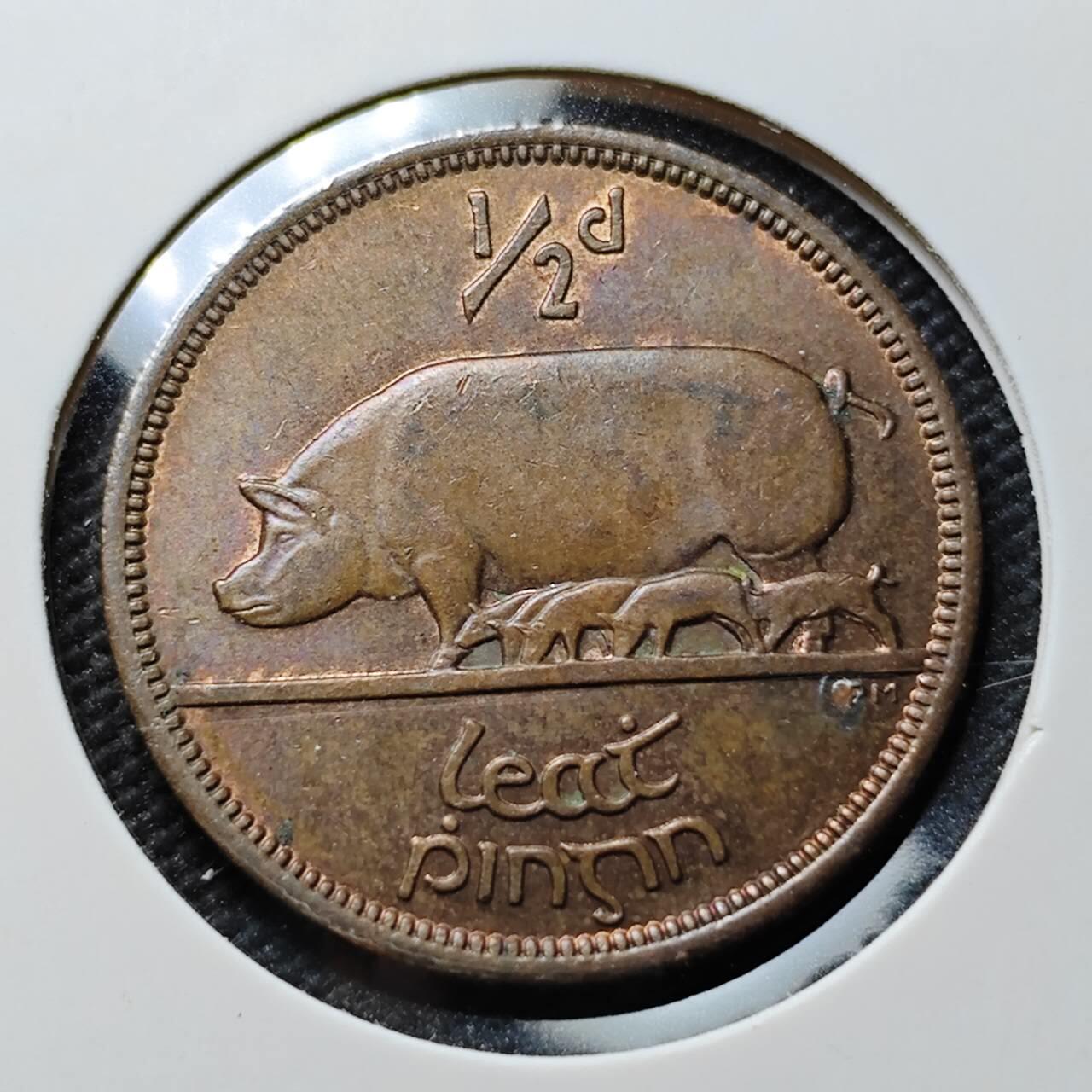 KK钱币收藏小铺 第376期  2月预留时间 周末发货  1964爱尔兰🐷