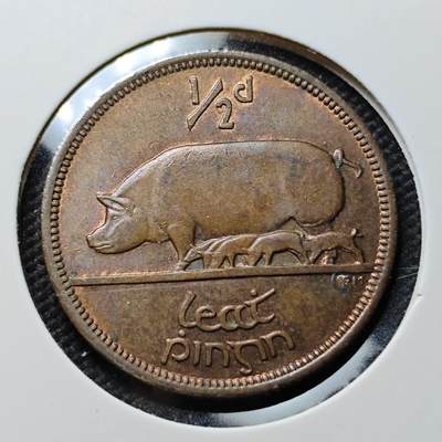 KK钱币收藏小铺 第376期  2月预留时间 周末发货 -  1964爱尔兰🐷