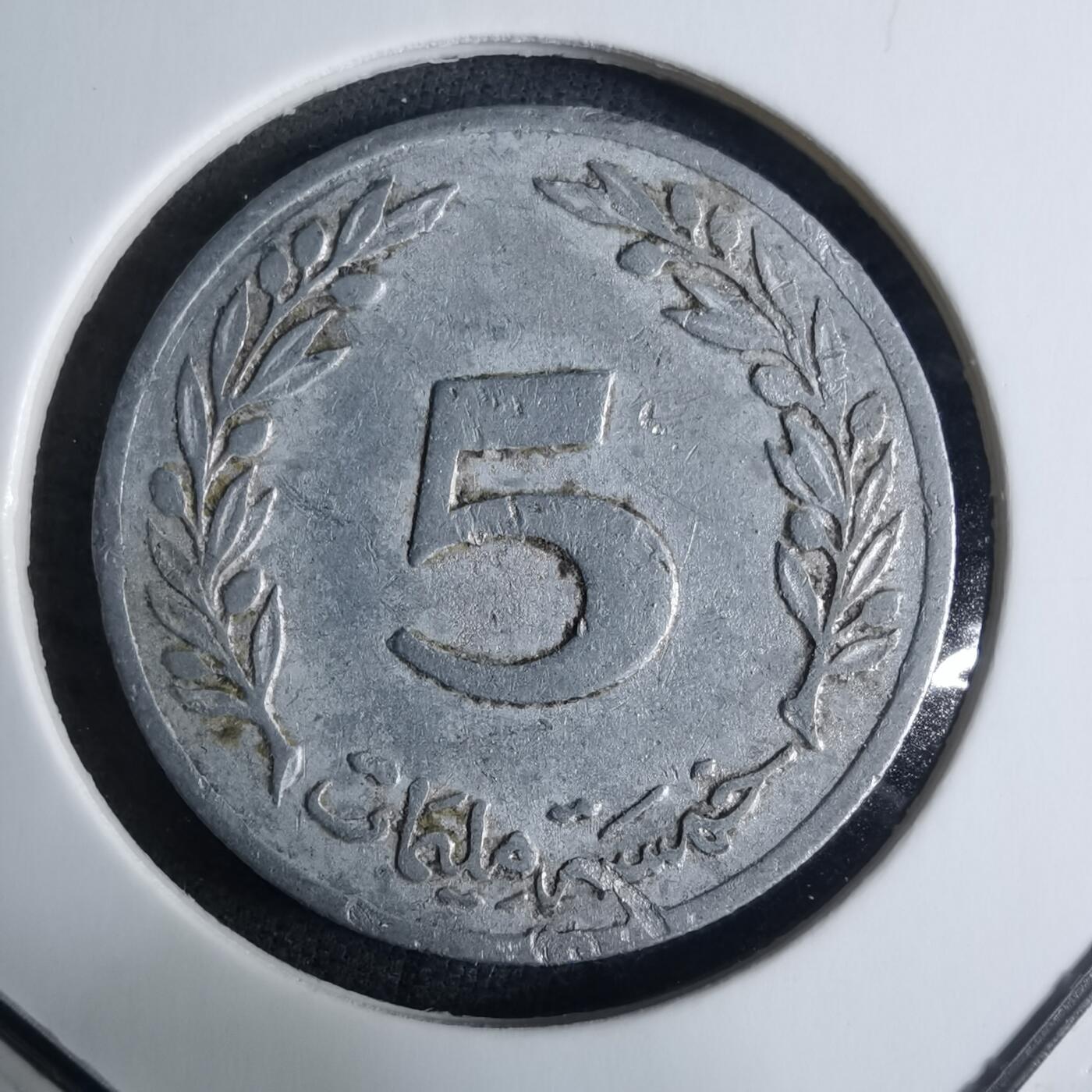 沼泽如烟--第926场