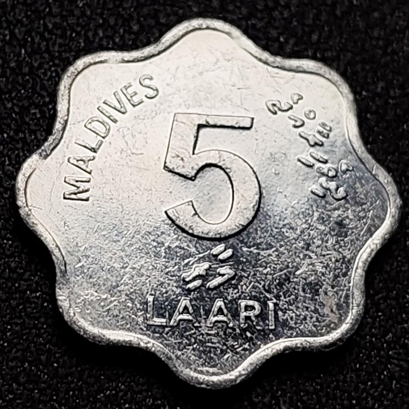 泉币菌-第144场-精品福利场 。