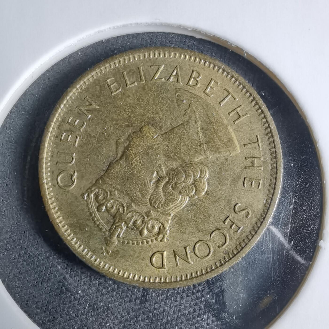 沼泽如烟--第927场 香港1980年一毫特年