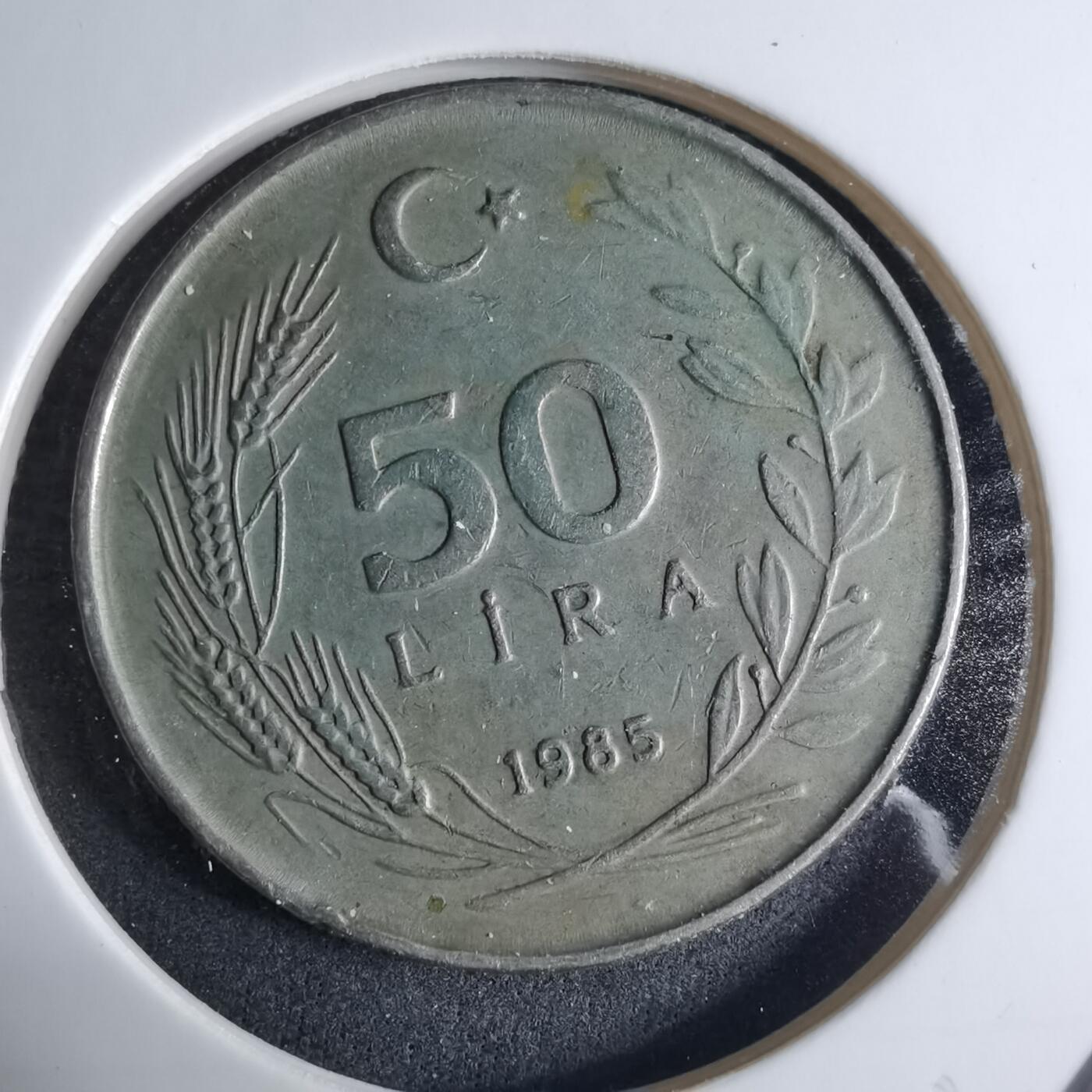 沼泽如烟--第926场