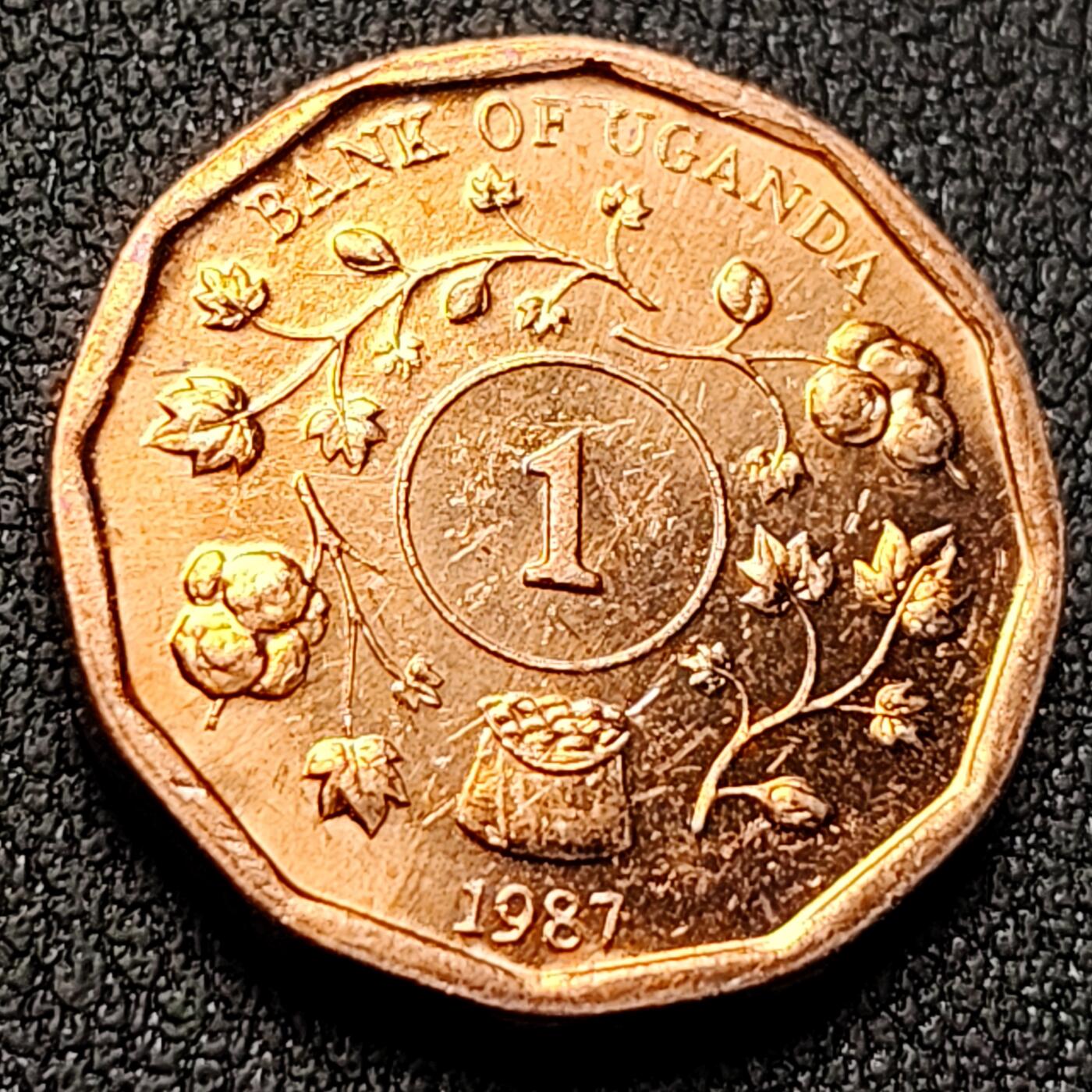 泉币菌-第144场-精品福利场 。