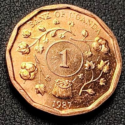 泉币菌-第144场-精品福利场 - 。