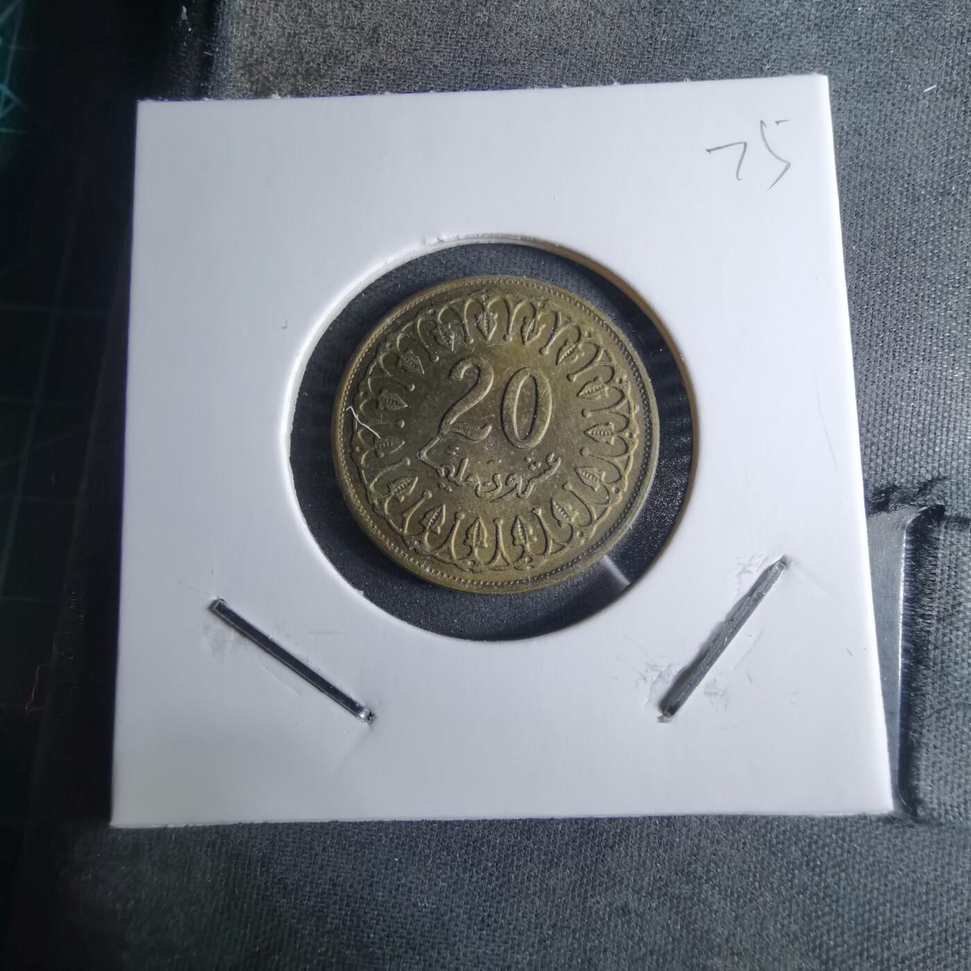 沼泽如烟--第926场