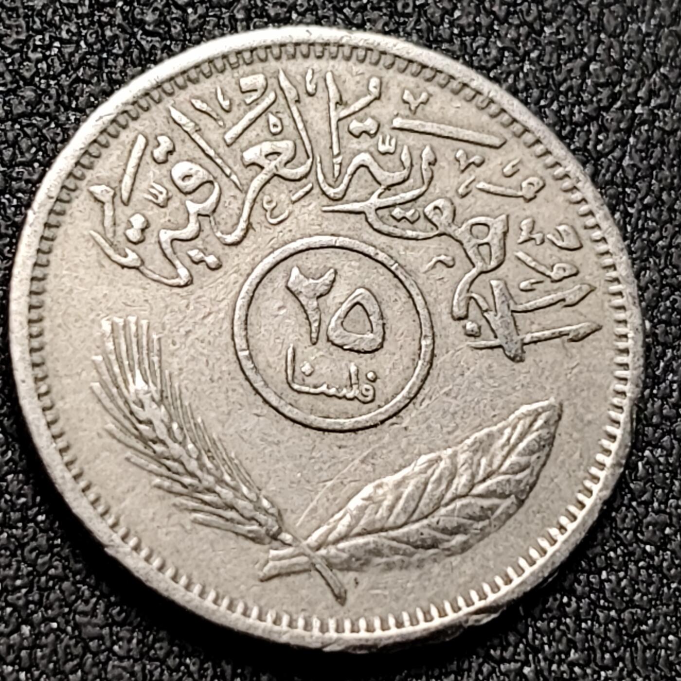 泉币菌-第144场-精品福利场 。