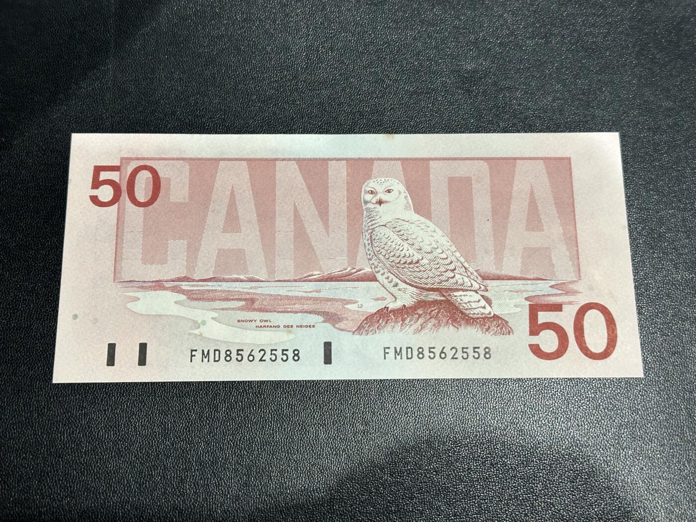《外钞收藏家》第五百九十二期（精选场）（本平台长期征集拍品、欢迎藏友们联系合作） 1988年加拿大鸟版50加元 无47尾558 UNC- 有个黄斑