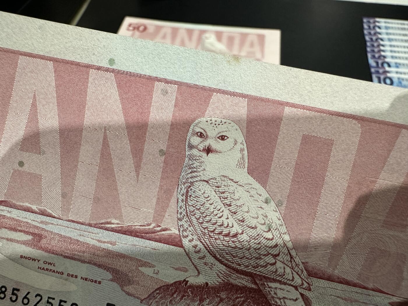 《外钞收藏家》第五百九十二期（精选场）（本平台长期征集拍品、欢迎藏友们联系合作） 1988年加拿大鸟版50加元 无47尾559 UNC- 有个黄斑