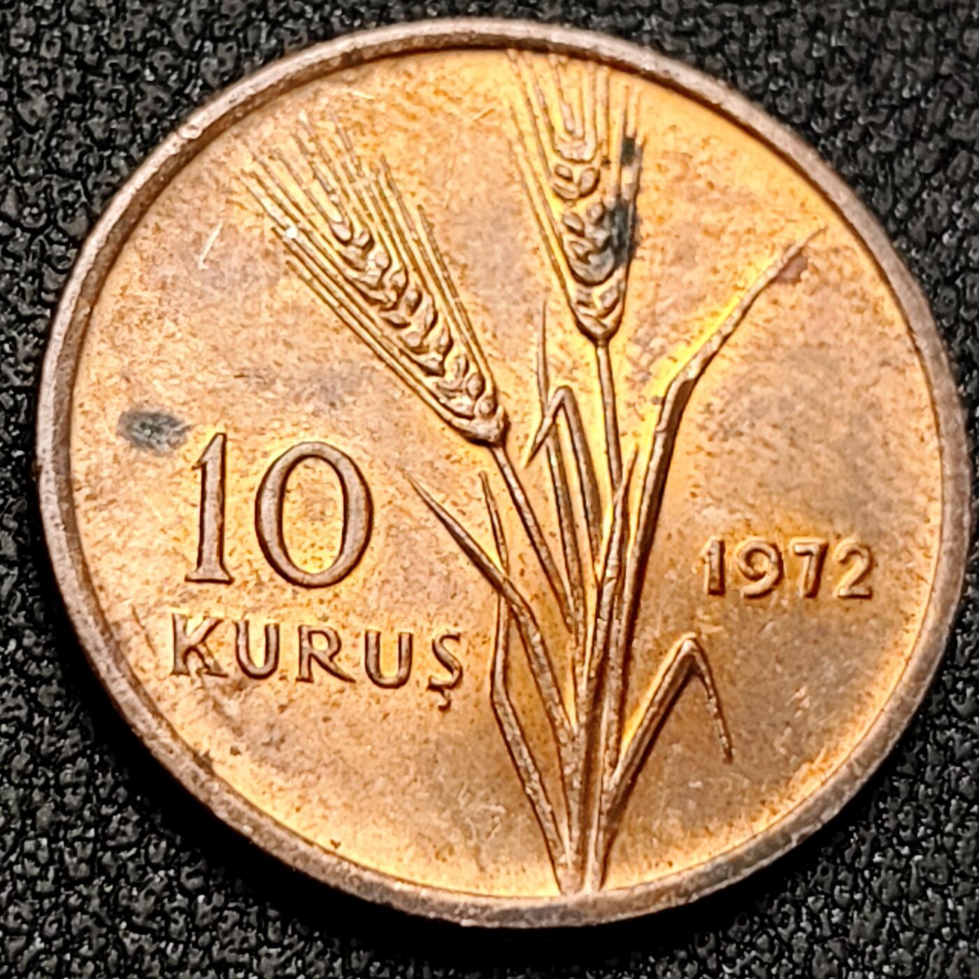 泉币菌-第144场-精品福利场 。