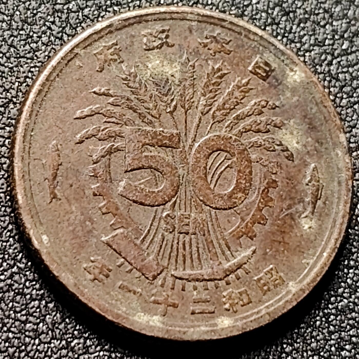 泉币菌-第144场-精品福利场 。